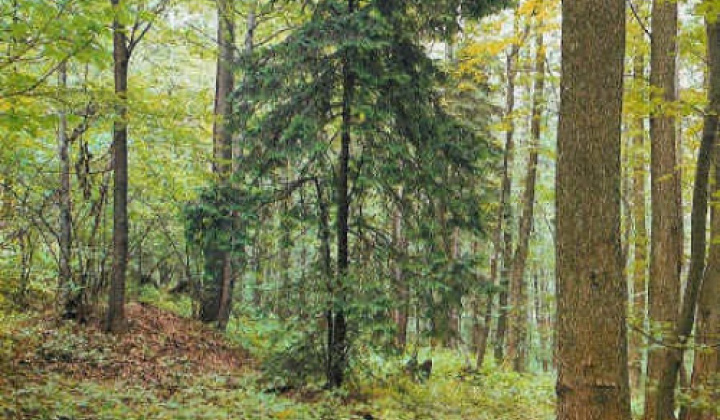 Zobraziť fotografiu
