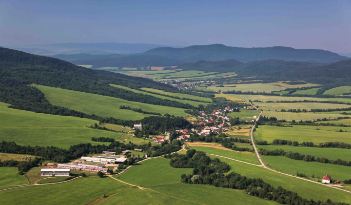 Hrubý jaseň